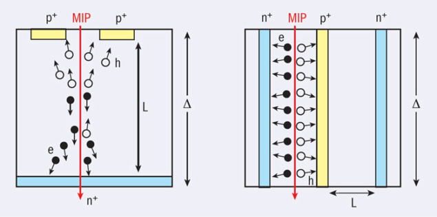 Schematic cross-sections