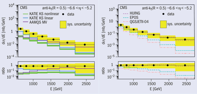 The differential jet cross section as a function of jet energy as measured in the CASTOR calorimeter