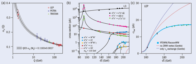 Diagrams showing LEP results