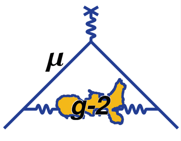 The muon g−2 collaboration