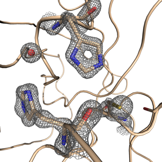 A close up view of some residues in the active site of the protein, where the sticks represent the protein molecules and the mesh represents the electron density. Credit: D Owen/Diamond Light Source.