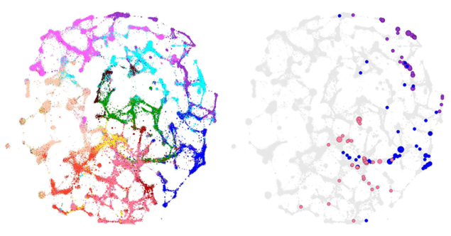 Nobel research is limited to a few research areas