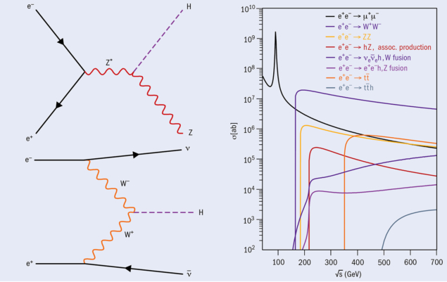 Feynman diagrams