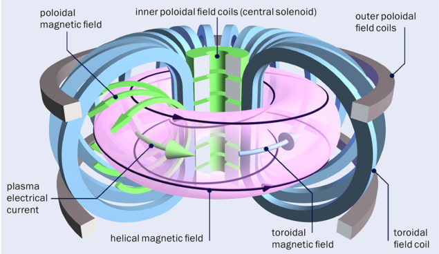 A plasma in a torus-shaped tokamak