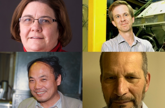 2022 W.K.H Panofsky Prize in Experimental Particle Physics Winners