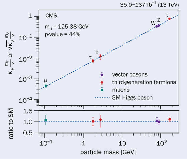 Predicted vs measured values of the coupling strengths between the Higgs boson and other SM particles