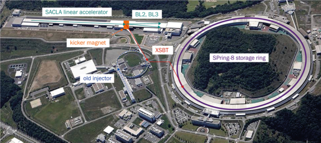 The SACLA XFEL and SPring-8 synchrotron radiation facilities