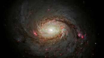 The spiral galaxy Messier 77