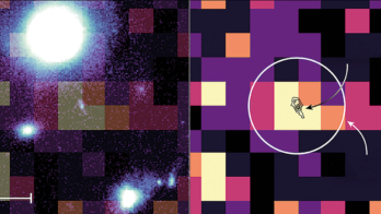 Webb sheds light on oldest black holes