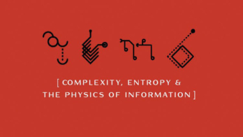 Complexity, Entropy and the Physics of Information