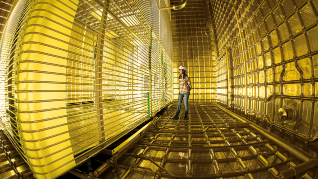 The field cage of a prototype liquid–argon time-projection chamber