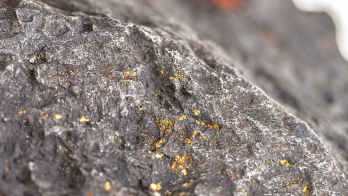 The Campo del Cielo meteorite