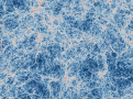 Cosmic web