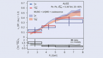 Collective flow in hypernuclei